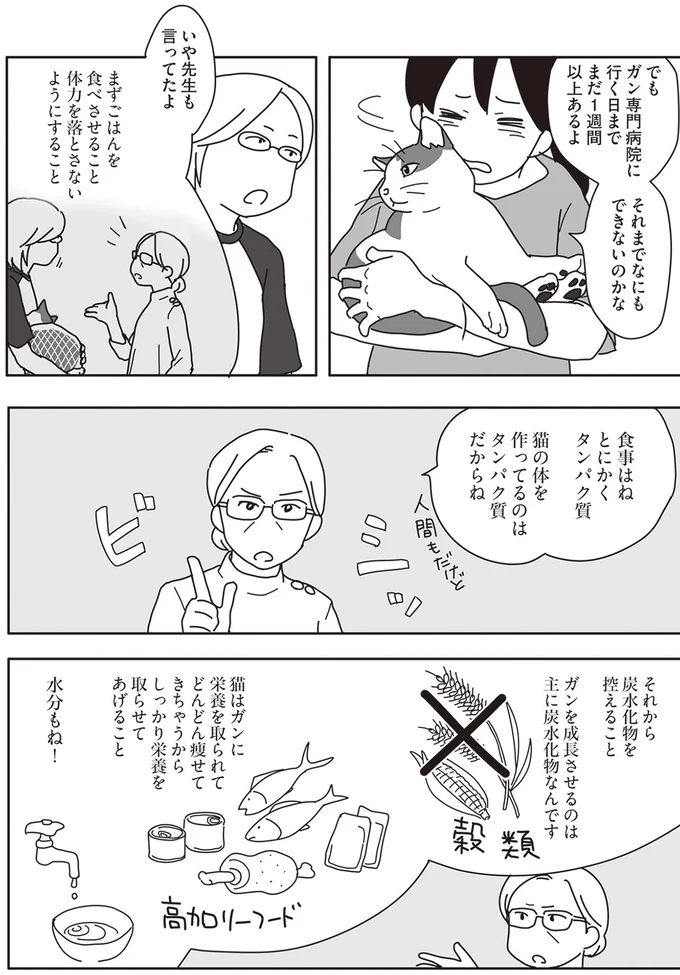 『世界一幸せな飼い主にしてくれた猫』より