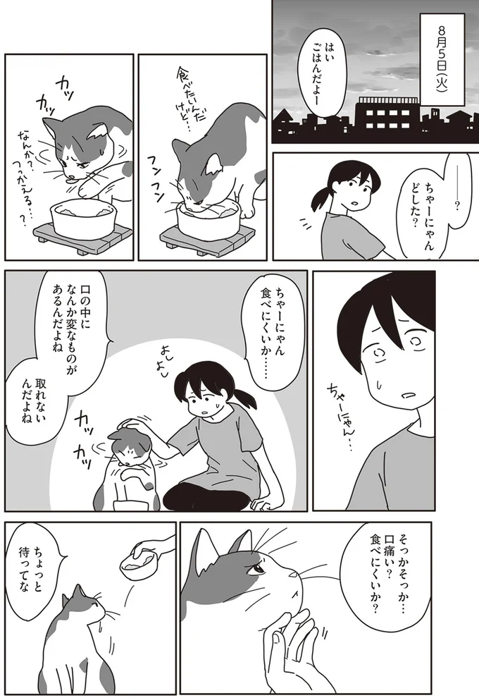 『世界一幸せな飼い主にしてくれた猫』より