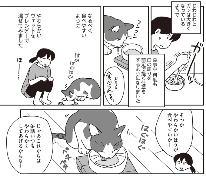 『世界一幸せな飼い主にしてくれた猫』より