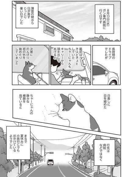 『世界一幸せな飼い主にしてくれた猫』より