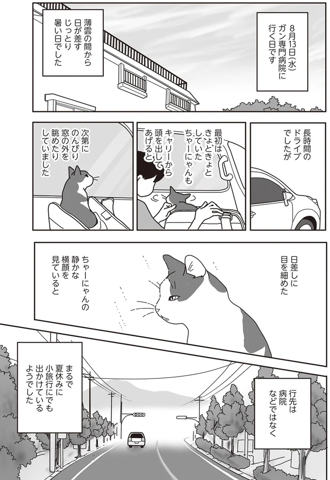 『世界一幸せな飼い主にしてくれた猫』より