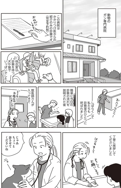 『世界一幸せな飼い主にしてくれた猫』より