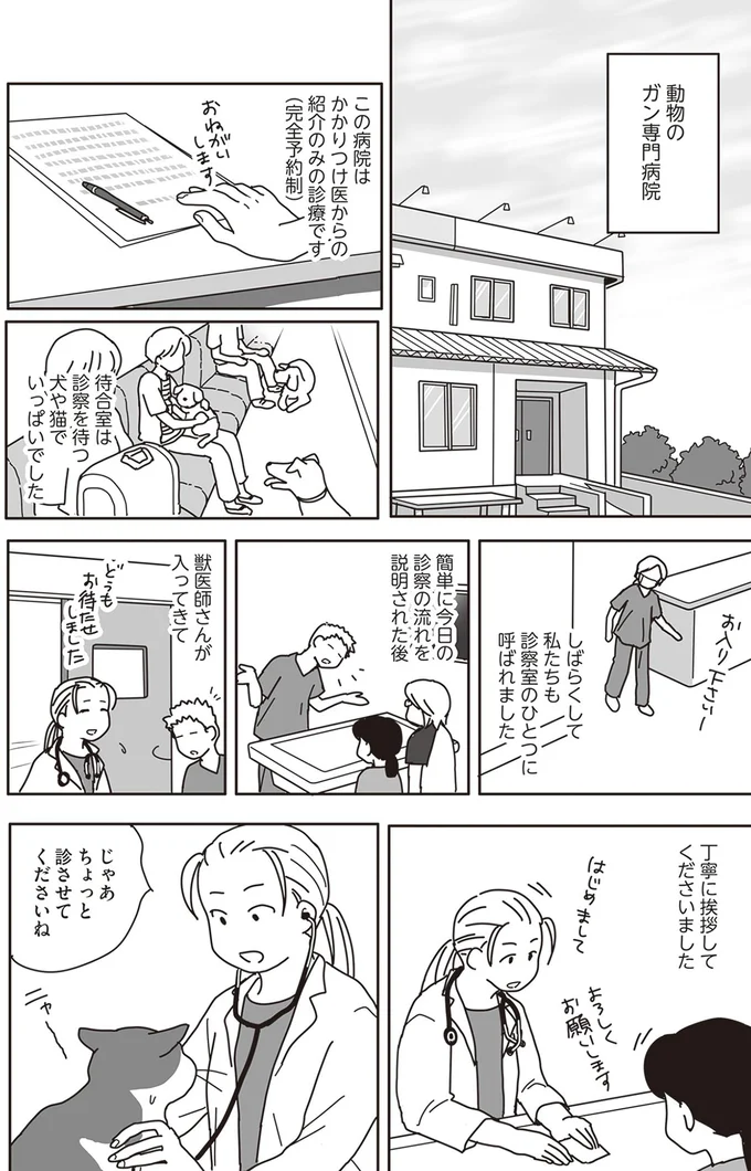 『世界一幸せな飼い主にしてくれた猫』より