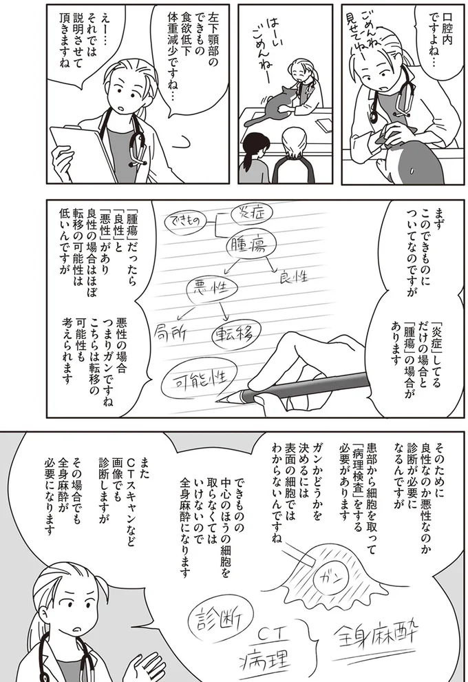 『世界一幸せな飼い主にしてくれた猫』より