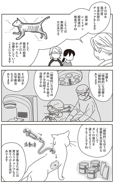 『世界一幸せな飼い主にしてくれた猫』より