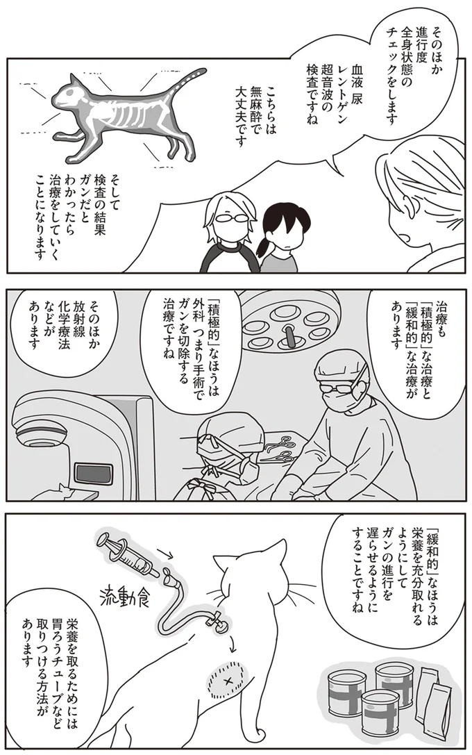 『世界一幸せな飼い主にしてくれた猫』より