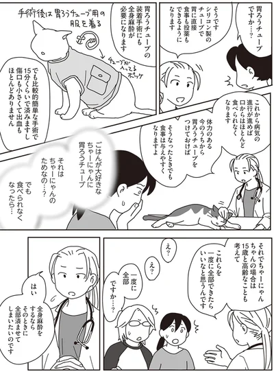 『世界一幸せな飼い主にしてくれた猫』より