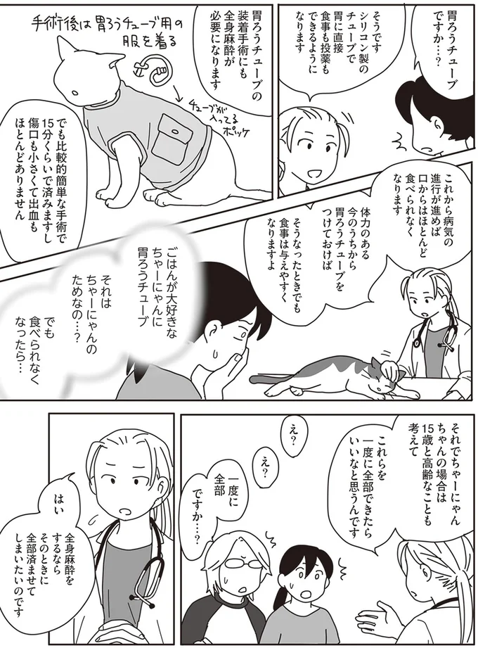 『世界一幸せな飼い主にしてくれた猫』より