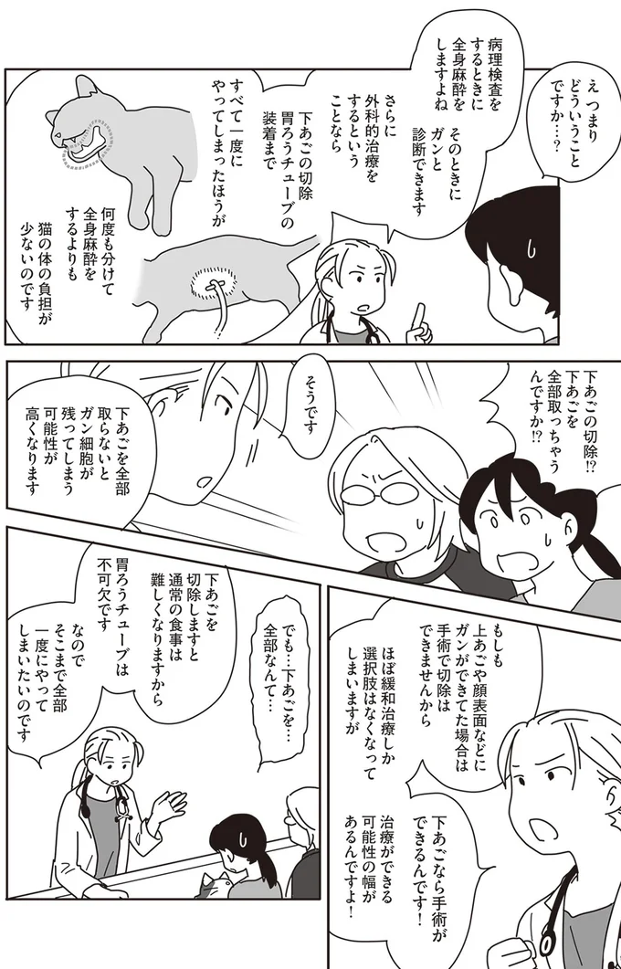 『世界一幸せな飼い主にしてくれた猫』より