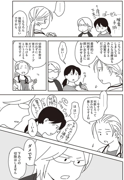 『世界一幸せな飼い主にしてくれた猫』より