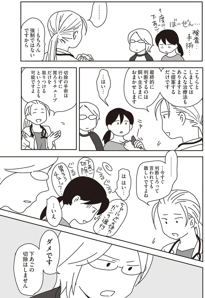 『世界一幸せな飼い主にしてくれた猫』より