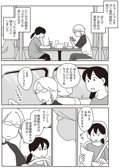 『世界一幸せな飼い主にしてくれた猫』より