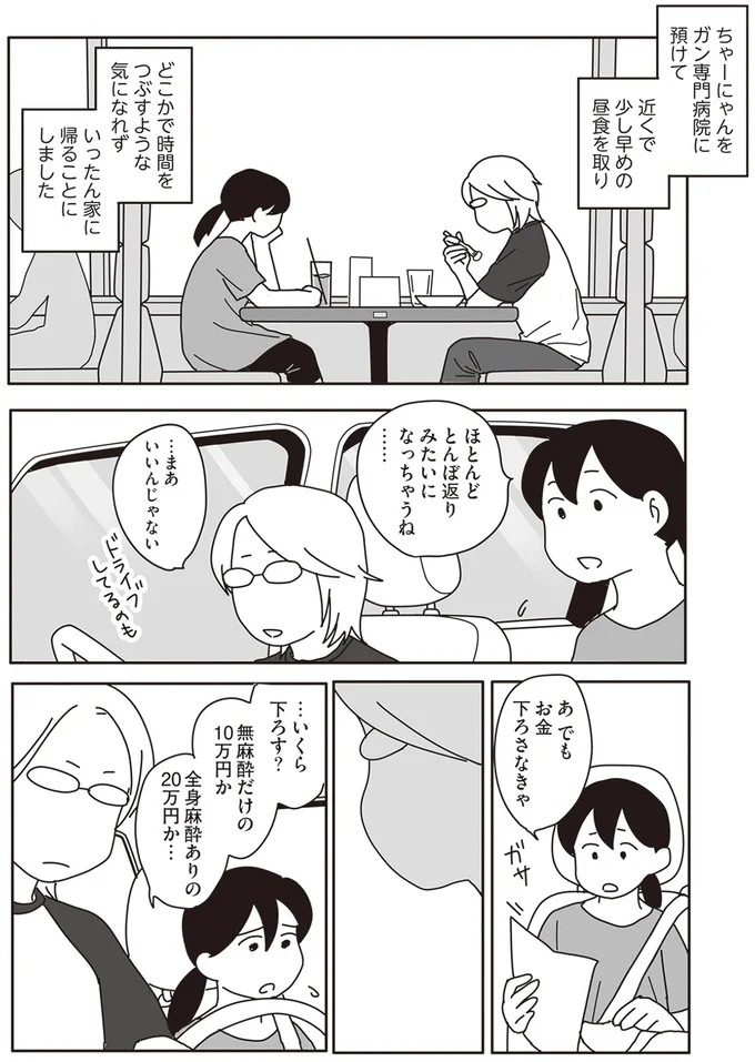 『世界一幸せな飼い主にしてくれた猫』より