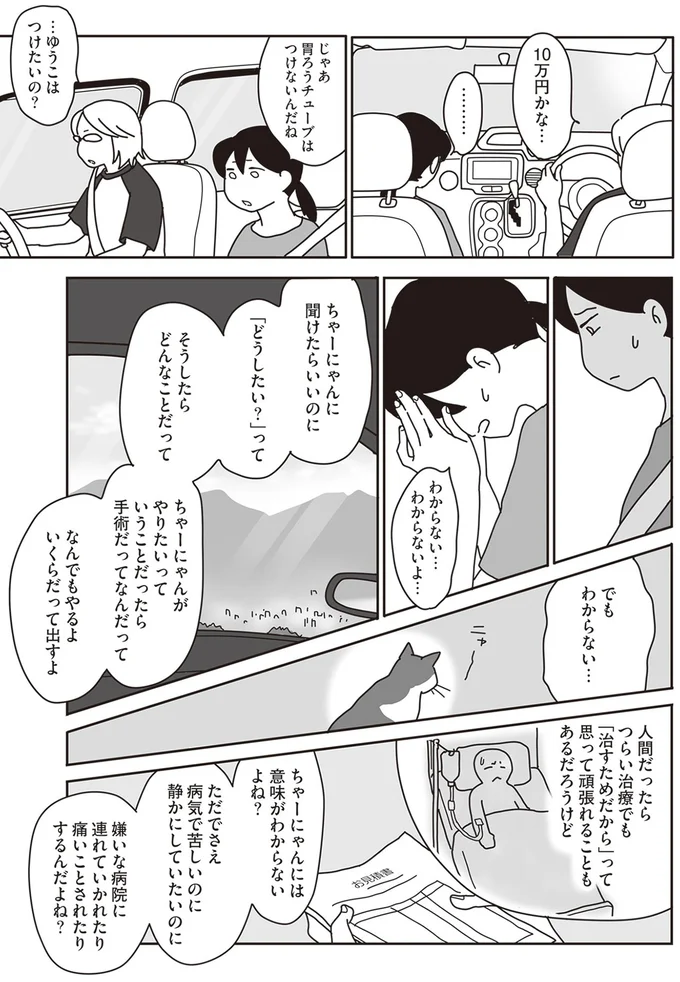 『世界一幸せな飼い主にしてくれた猫』より