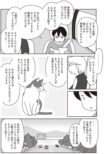 『世界一幸せな飼い主にしてくれた猫』より