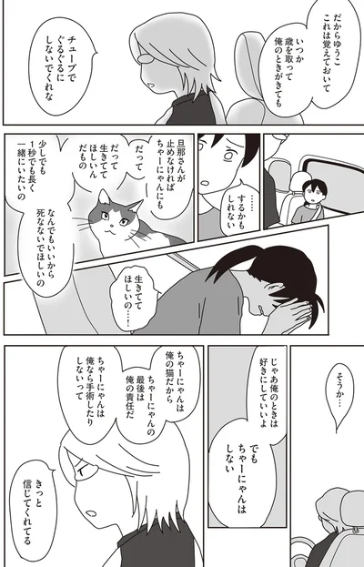 『世界一幸せな飼い主にしてくれた猫』より