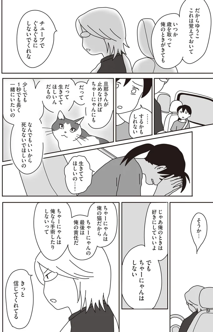『世界一幸せな飼い主にしてくれた猫』より