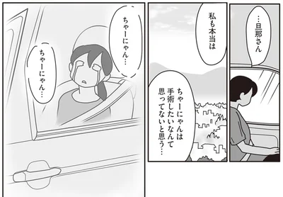 『世界一幸せな飼い主にしてくれた猫』より