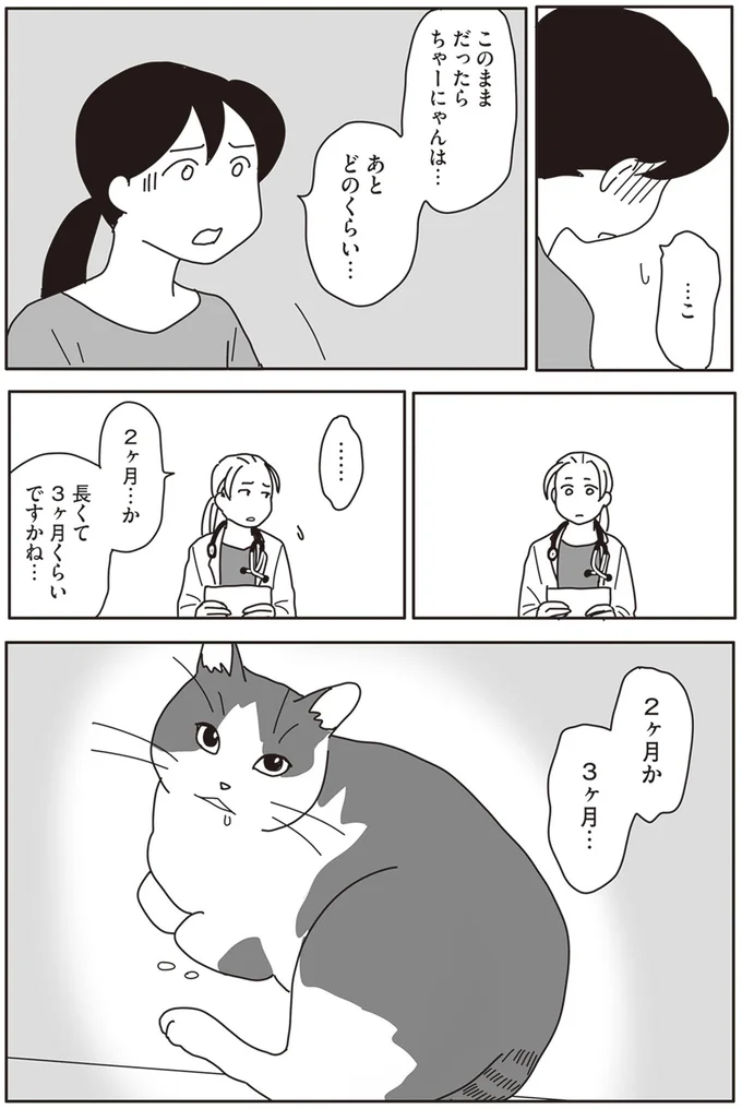 『世界一幸せな飼い主にしてくれた猫』より