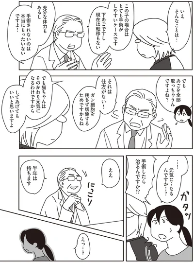 『世界一幸せな飼い主にしてくれた猫』より