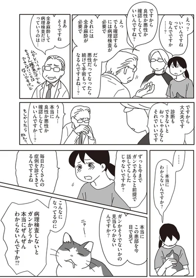 『世界一幸せな飼い主にしてくれた猫』より