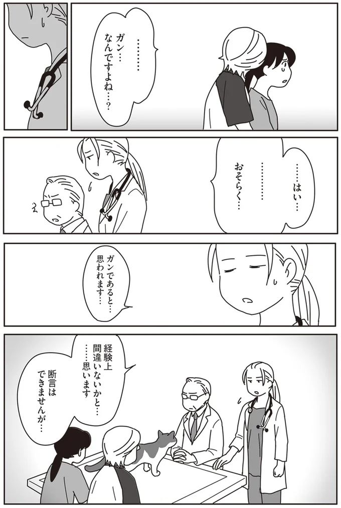 『世界一幸せな飼い主にしてくれた猫』より