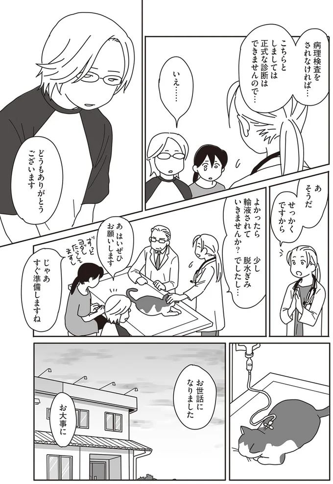 『世界一幸せな飼い主にしてくれた猫』より