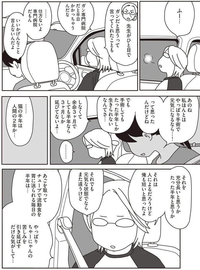 『世界一幸せな飼い主にしてくれた猫』より