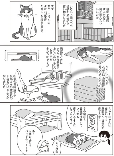 『世界一幸せな飼い主にしてくれた猫』より