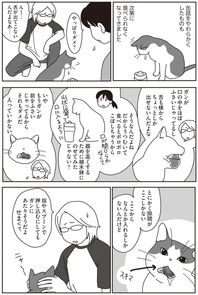 『世界一幸せな飼い主にしてくれた猫』より