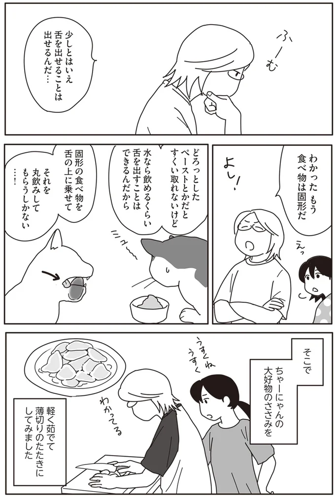 『世界一幸せな飼い主にしてくれた猫』より