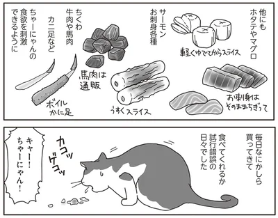 『世界一幸せな飼い主にしてくれた猫』より