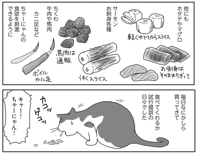 『世界一幸せな飼い主にしてくれた猫』より