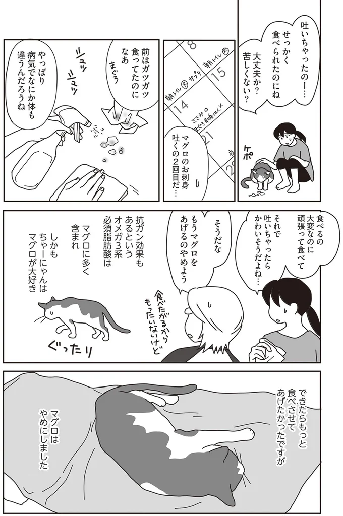 『世界一幸せな飼い主にしてくれた猫』より