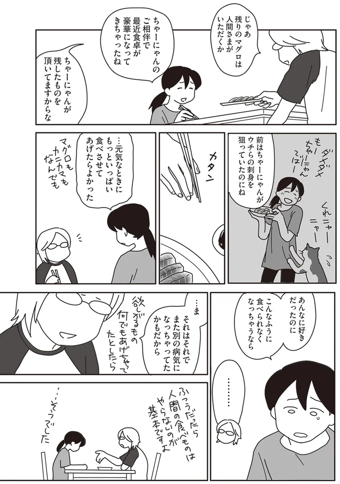 『世界一幸せな飼い主にしてくれた猫』より