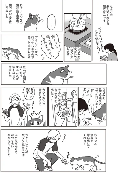 『世界一幸せな飼い主にしてくれた猫』より