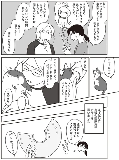 『世界一幸せな飼い主にしてくれた猫』より