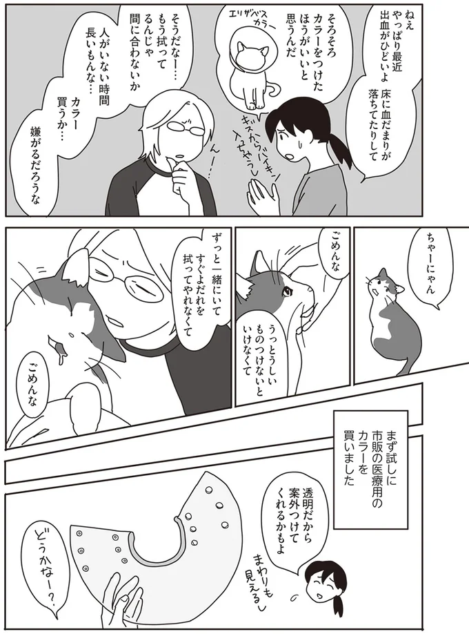 『世界一幸せな飼い主にしてくれた猫』より