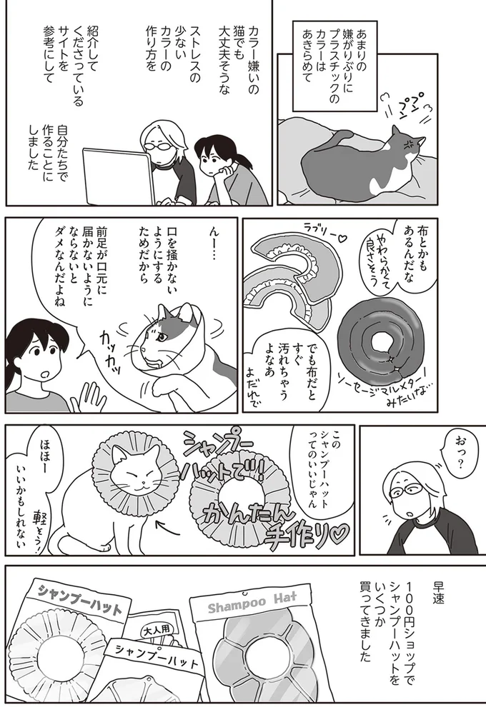 『世界一幸せな飼い主にしてくれた猫』より