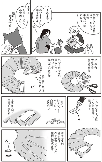 『世界一幸せな飼い主にしてくれた猫』より