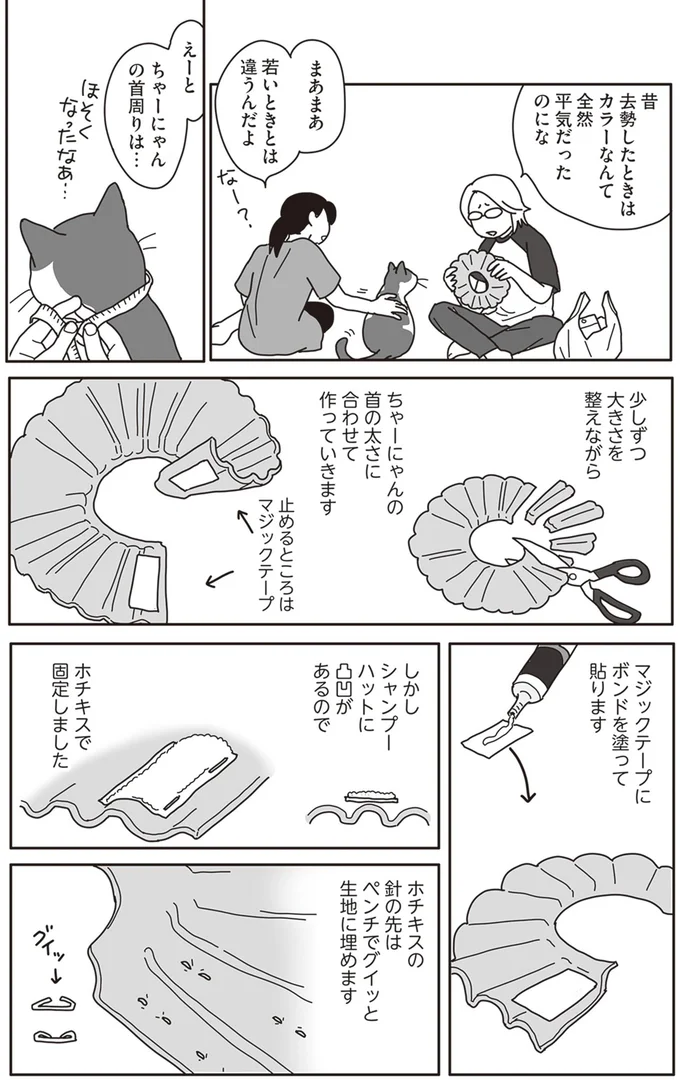 『世界一幸せな飼い主にしてくれた猫』より