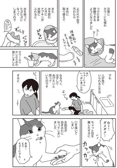 『世界一幸せな飼い主にしてくれた猫』より