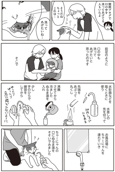 『世界一幸せな飼い主にしてくれた猫』より