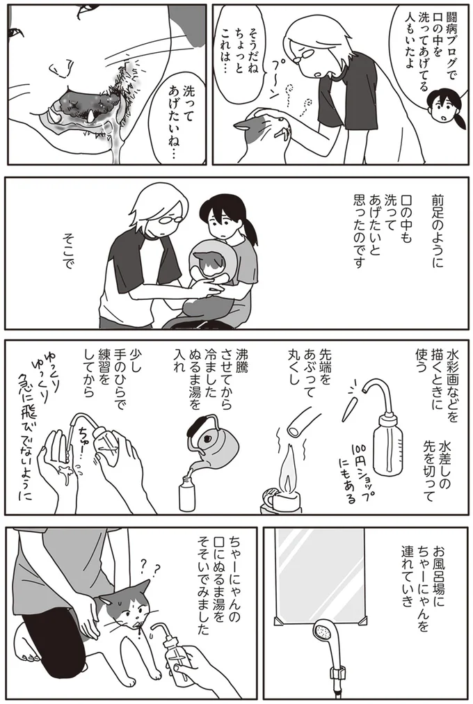 『世界一幸せな飼い主にしてくれた猫』より