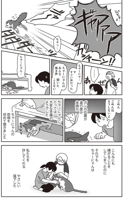 『世界一幸せな飼い主にしてくれた猫』より