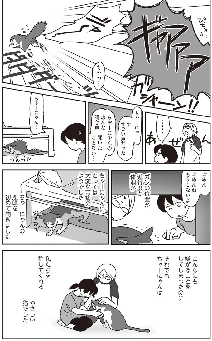 『世界一幸せな飼い主にしてくれた猫』より