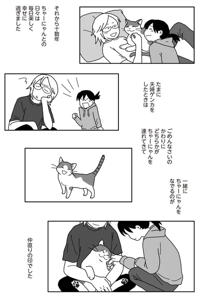 一緒にちゃーにゃんをなでるのが　仲直りの印でした