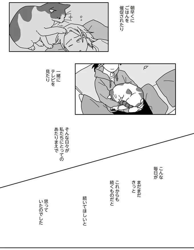 そんな日々が私たちにとってのあたりまえで