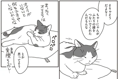 ちゃーにゃんがふたりの縁をつないでくれたんだもんな