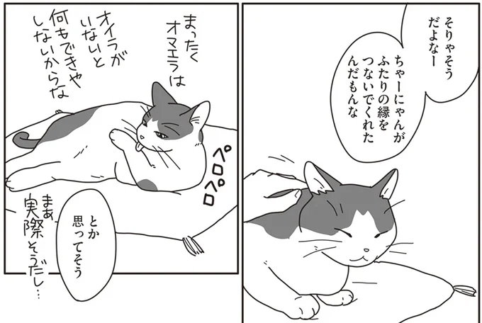 ちゃーにゃんがふたりの縁をつないでくれたんだもんな